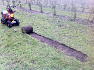 TC07 sod cutter 3